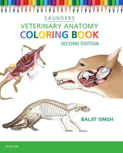 9781455776849 Veterinary Anatomy Colouring Book - Connections - The Campus  Store