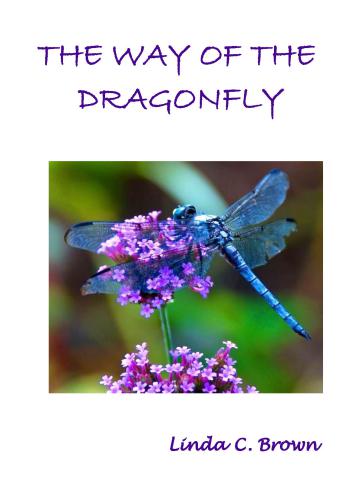WAY OF THE DRAGONFLY