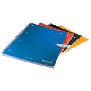 892515002415 Livescribe: 3 Subject Notebooks (4-Pack) - Letter Sized