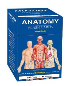 9781423204237 Anatomy Flash Cards
