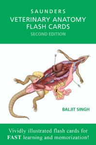9781455776832 Veterinary Anatomy Flash Cards